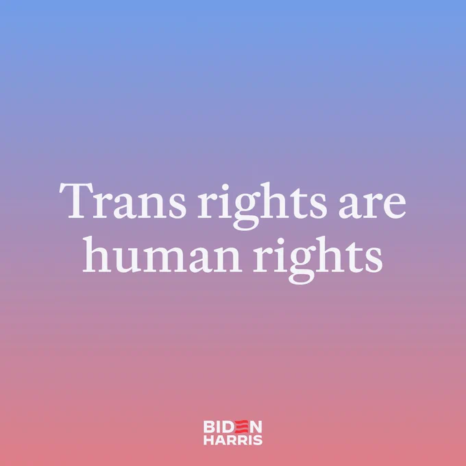A graphic with a gradient background that reads:

Trans rights are human rights