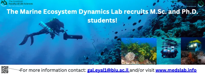 Join us in unravelling the mysteries of the ocean and shaping a more sustainable future for our planet! Apply now and become a part of our passionate research team at the Marine Ecosystem Dynamics Lab. 

📝 Application Requirements:
Interested in joining our team at the Marine Ecosystem Dynamics Lab? Here's what we need from you:

CV: Please provide a detailed curriculum vitae (CV) outlining your academic background, research experience, publications (if any), and any relevant skills or qualifications.

Short Cover Letter: Submit a brief cover letter introducing yourself, explaining your interest in marine ecology, and highlighting why you're excited to join our research team at the Gal Marine Ecosystem Dynamics Lab.

Send your CV and cover letter to gal.eyal1@biu.ac.il 
We look forward to hearing from you! 🐟🌊 
For more information visit www.medslab.info