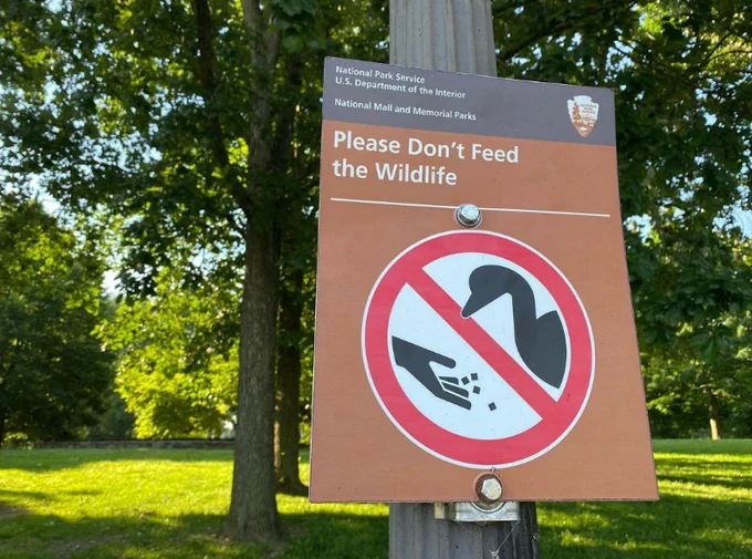 A park sign showing a crossed-out image of a hand dropping small objects in front of a goose with a warning of "Please don't feed the wildlife." Playing dice could also be implied. 