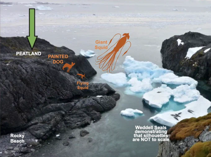 the positions of dog, flying squid, and giant squid in the Antarctic peatland scenario
