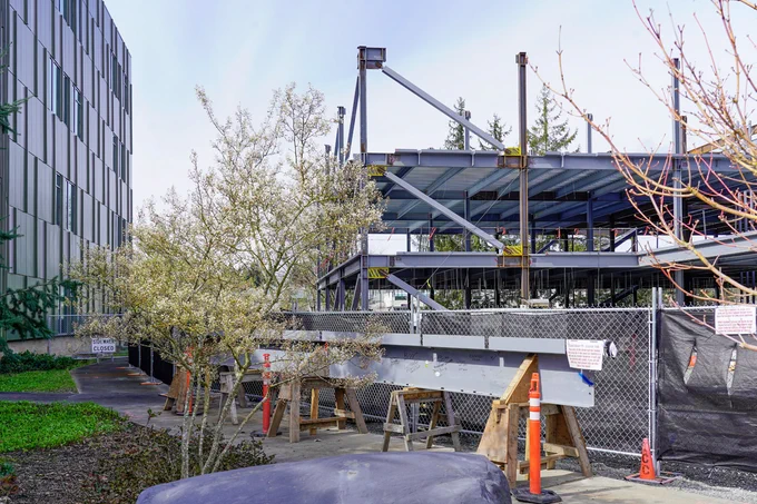A steel beam beside a flowering tree, between Building 13 and the CILE building site at TCC. 