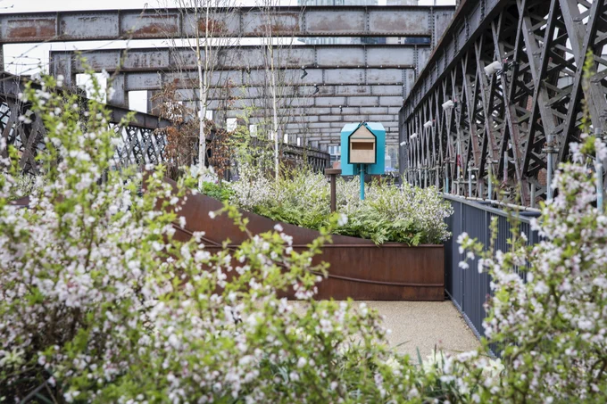 Plants filled with white blossom in large planters on a bridge.