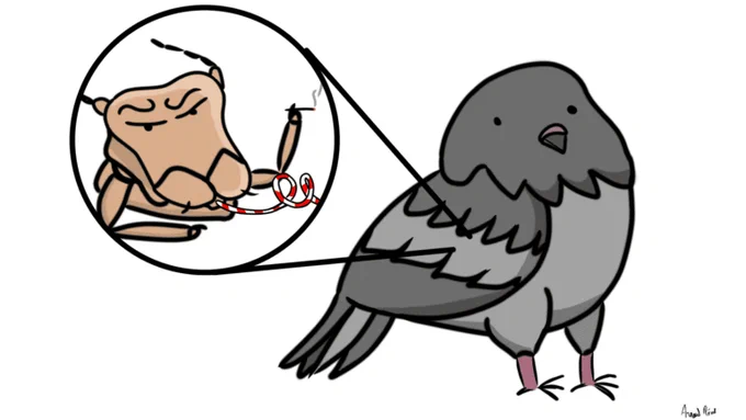Un dessin de pigeon et un zoom dans ses plumes révélant la tête d'un pou une cigarette dans une patte et une paille dans la bouche