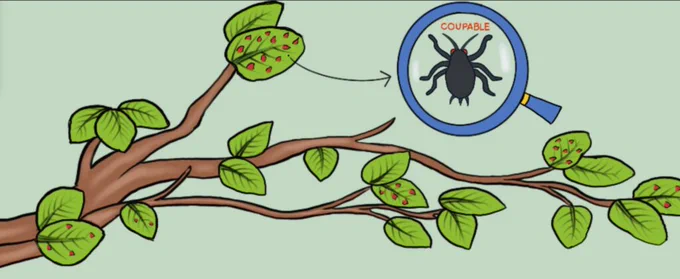 Une branche d'arbre dont les feuilles présentent des galles rouges. Dans une loupe, un puceron surmonté du texte "Coupable".