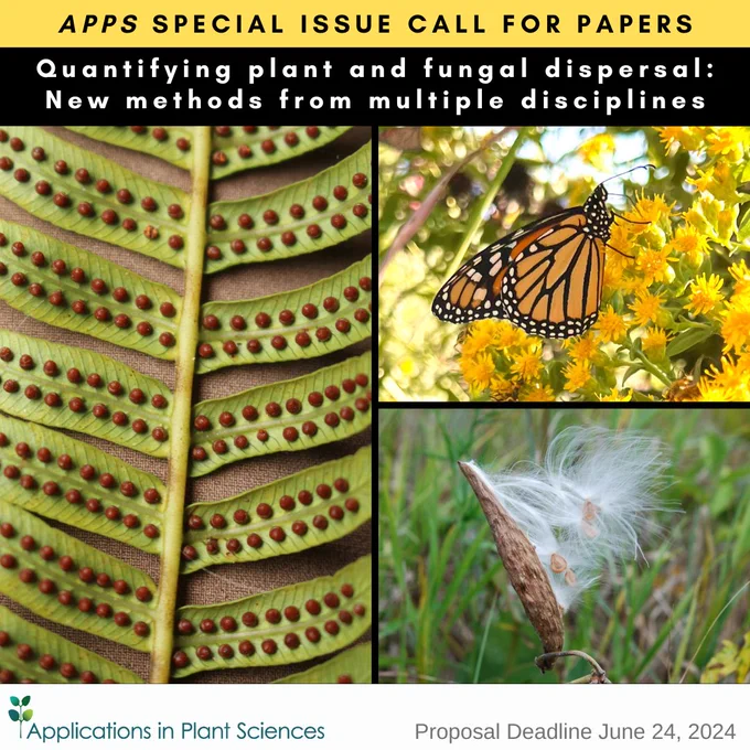 The text at the top reads: “APPS Special Issue Call for Papers: Quantifying plant and fungal dispersal: New methods from multiple disciplines”. The Applications in Plant Sciences logo is in the bottom left corner. The text in the bottom right corner reads: “Proposal deadline June 24, 2024”. Images: left: fertile fern frond with sori; top right: monarch butterfly on showy goldenrod; bottom right: open milkweed pod with silk and seeds exposed.