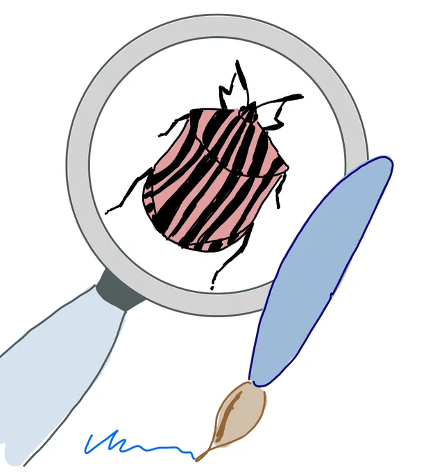 Bug report 