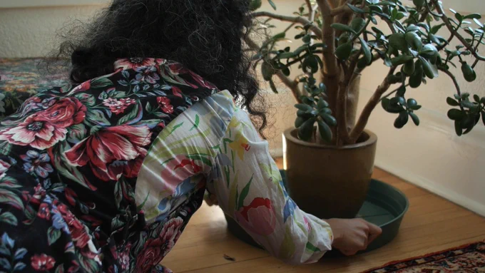 In "Light Needs," a woman (Nazli Dinçel) with frizzy long hair wearing floral attire faces away from the camera on the left. She adjusts her fairly large succulent houseplant on a table that is receiving direct sunlight on the right.