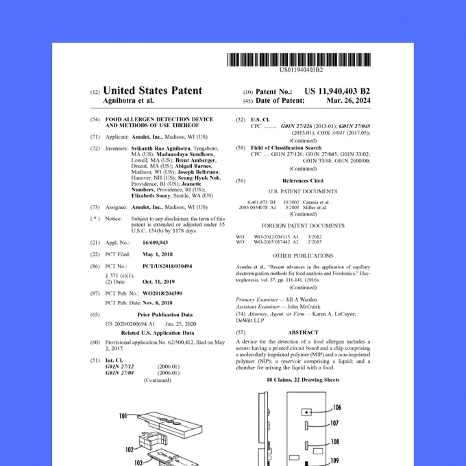 Graphic showing Amulet's 2nd U.S. Patent