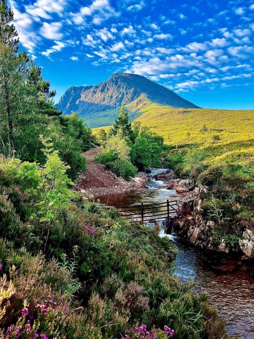 Image Description: A river sits in the foreground surrounded by greenery and trees, with an iconic mountain in the distance and bright blue skies overhead