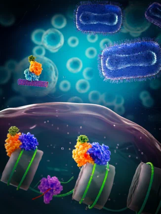 Artistic rendering of "FEAR" pathway in poxvirus-infected cells. See our paper for details!