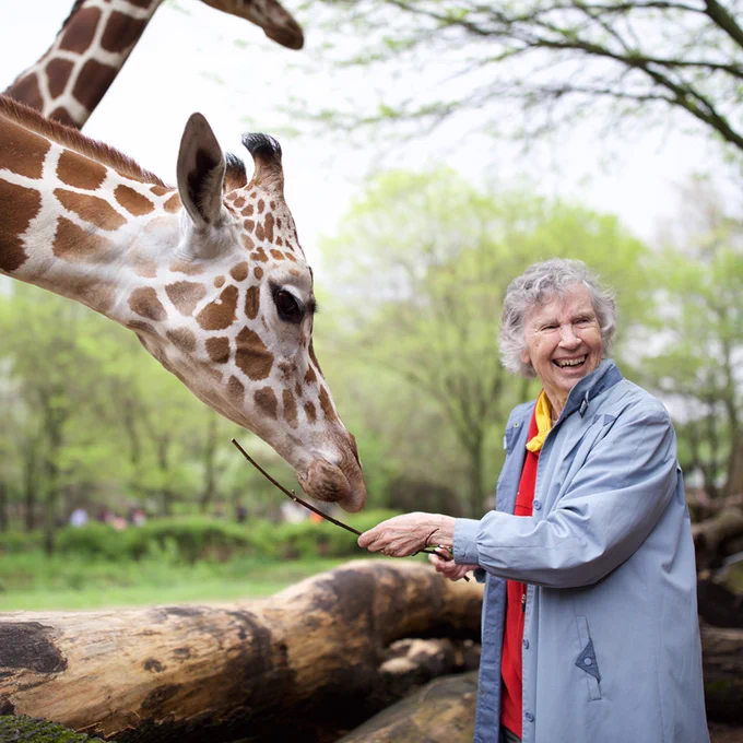 Dr. Anne Innis Dagg is pictured with a giraffe