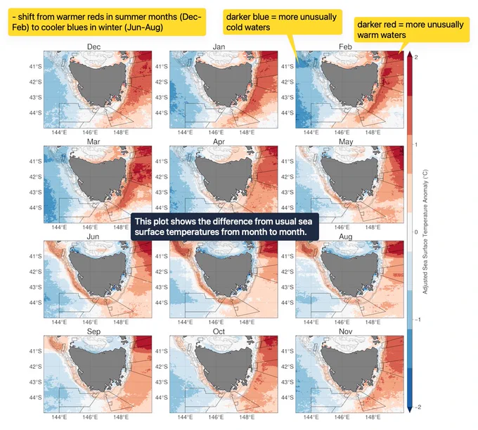 This plot displays monthly sea surface temperature anomalies around Tasmania.