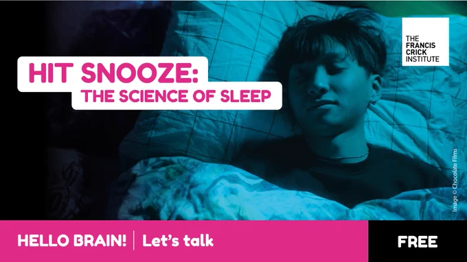 A picture of a person asleep in bed, with text reading 'Hit Snooze: the science of sleep", "Hello Brain! Let's talk", and a label reading 'Free'.