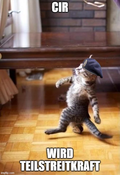 Ein Meme mit einer Katze, die triumphierend auf zwei Beinen geht. 
Als Über- und Unterschrift steht "CIR wird Teilstreitkraft"