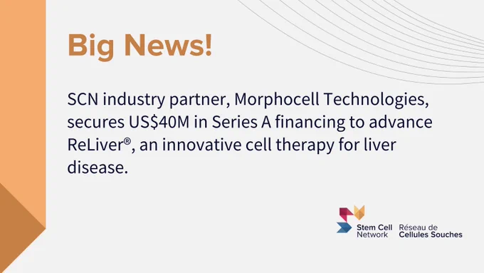 Morphocell Technologies 