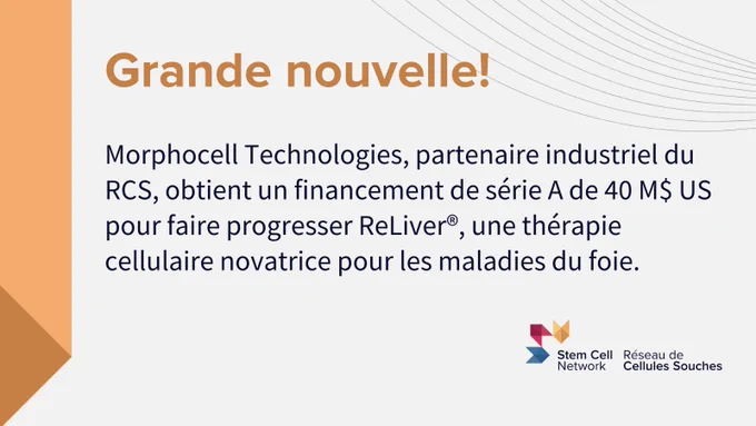 Morphocell Technologies