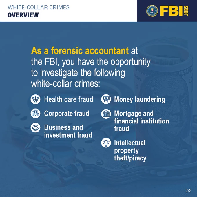 White-collar crimes overview. As a forensic accountant at the FBI, you have the opportunity to investigate the following white-collar crimes: health care fraud, corporate fraud, business and investment fraud, money laundering, mortgage and financial institution fraud, intellectual property theft/piracy.