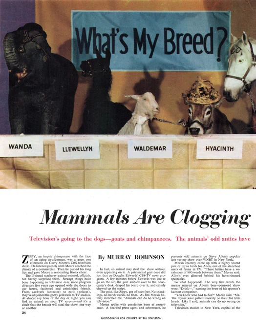 full issue at https://archive.org/details/colliersmagazine
