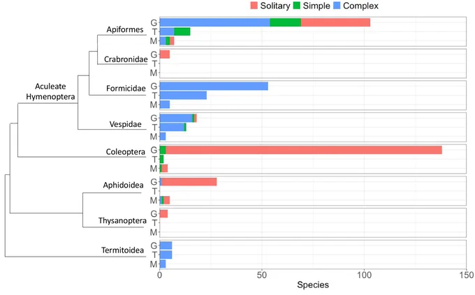 Phylogeny showing the evolutionary relationships of eight insect lineages covering different origins of sociality (Apiformes, Crabronidae, Formicidae, Vespidae, Coleoptera, Aphidoidea, Thysanoptera, Termitoidea).