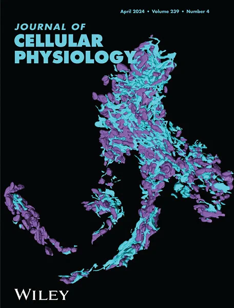 Front Cover Caption: The cover image is based on the Research Article ATF4-dependent increase in mitochondrial-endoplasmic reticulum tethering following OPA1 deletion in skeletal muscle by Antentor Hinton Jr. et al., https://doi.org/10.1002/jcp.31204.

