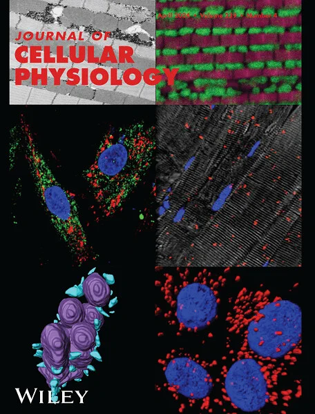 Inside Front Cover Caption: The cover image is based on the Research Article ATF4-dependent increase in mitochondrial-endoplasmic reticulum tethering following OPA1 deletion in skeletal muscle by Antentor Hinton Jr. et al., https://doi.org/10.1002/jcp.31204.