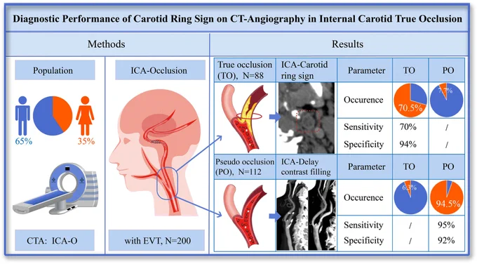 Graphic abstract in Yi and Sui et al.