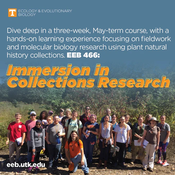 EEB 466 - Immersion in Natural History Collections Research: 
Hands-on Skills in Fieldwork and Molecular Biology
University of Tennessee – Knoxville - Ecology and Evolutionary Biology
This three-week, miniterm course will enable students to dive deep into an immersive, hands-on learning experience focusing on fieldwork and molecular biology research using plant natural history collections. At the end of this course, students will gain skills in plant identification, DNA sequence data generation, herbarium specimen collection, functional plant morphology, and analyses of morphological evolution. The skills students gain will enhance their ability to succeed in scientific research careers, such as field biology, natural history collections, and molecular biology.  
This course is sponsored by a grant from the National Science Foundation. Scholarships are available for students with demonstrated financial need to help offset the registration and housing costs for this 3-credit course. 