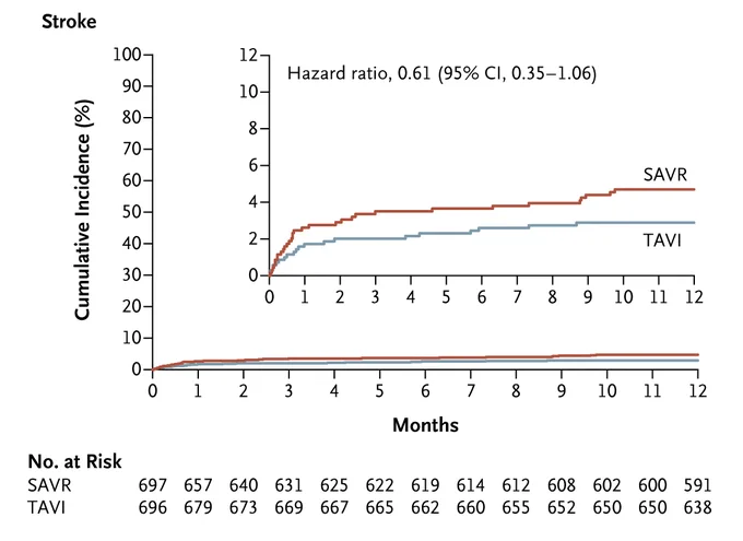 Kaplan–Meier estimate of the risk of stroke