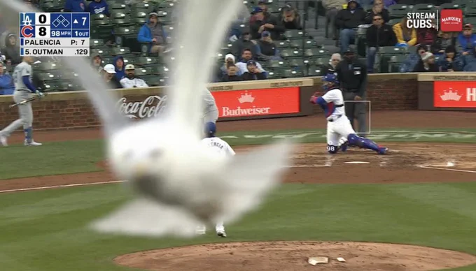 A seagull flies in front of the camera while a Dodgers hitter trots to first base.
