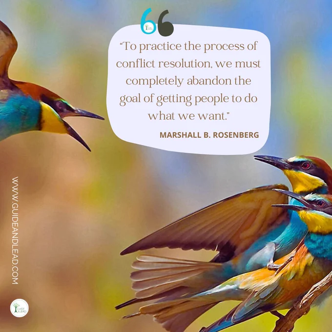 “To practice the process of conflict resolution, we must completely abandon the goal of getting people to do what we want.” ― Marshall B. Rosenberg
Colourful birds in flight fighting. 
