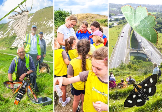 A collage of volunteers and children out in Kent's countryside caring for and engaging with moths. Four moth species cut-outs include the Black-veined moth, Sussex Emerald, Fiery Clearwing and the White-spotted Sable