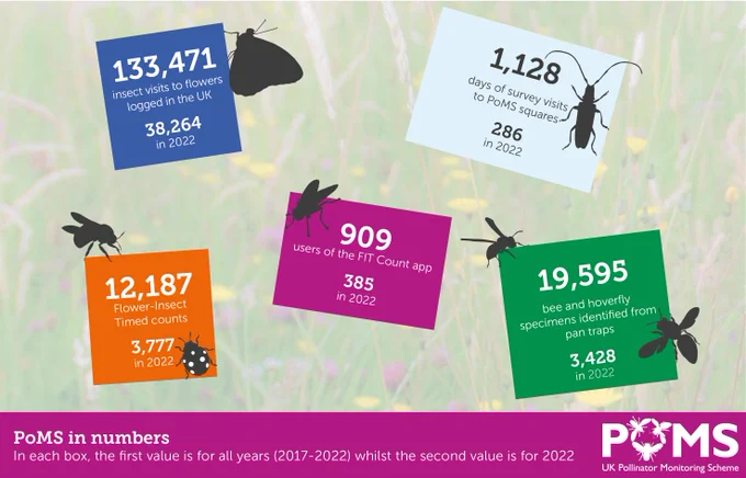 Infographic with numbers showing activity for the UK Pollinator Monitoring Scheme (2017-2022)