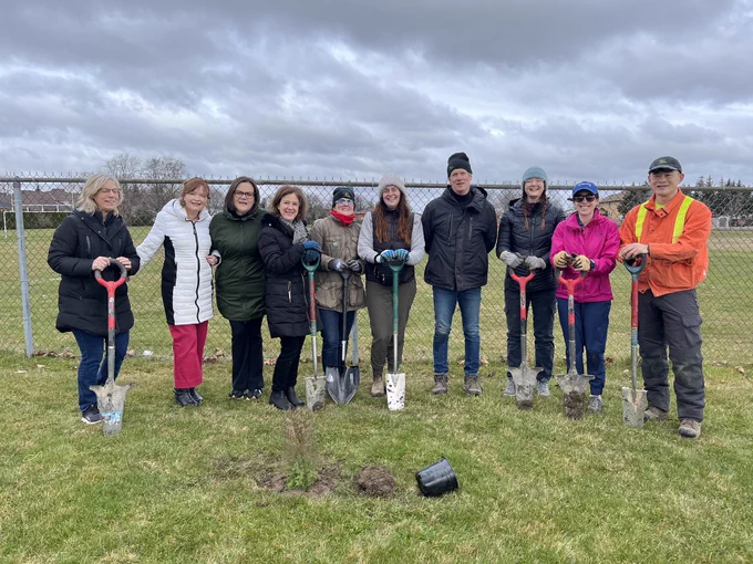 Group of tree planting volunteers with shovels plant trees on hospital grounds.