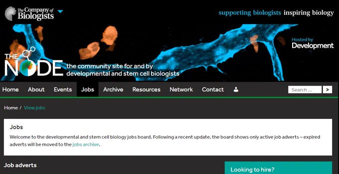 Screenshot of the Node jobs board