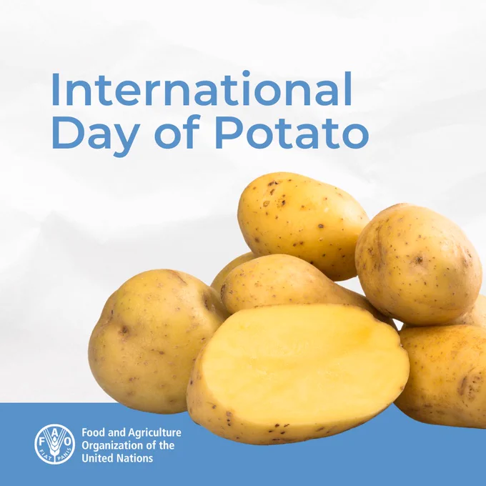 International Day of Potato Sheet