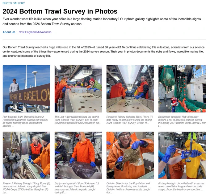 Screenshot of the 2024 Bottom Trawl Survey photo gallery. There are eight photos showing various scenes from the survey.