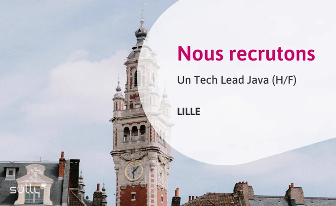 Sully Group Lille recrute un TechLead Java