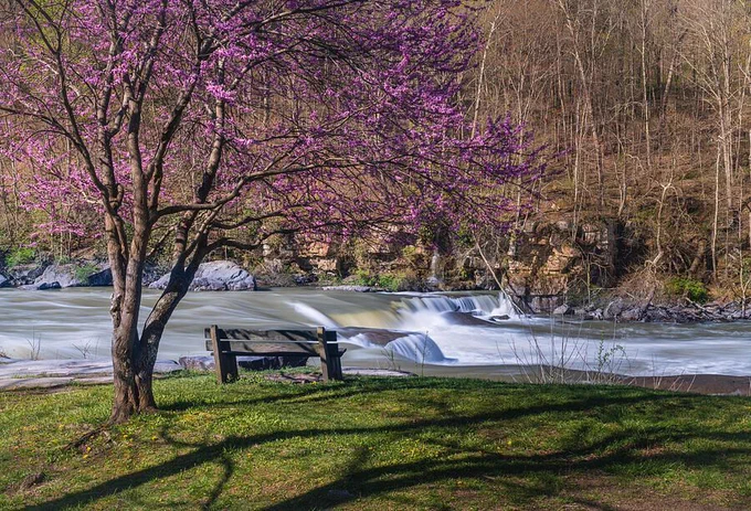 High water levels cascading over Valley Falls in West Virginia in the springtime. Prints available to decorate your home! 