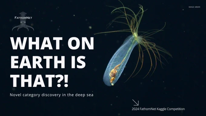 midwater worm floating in the dark ocean. 