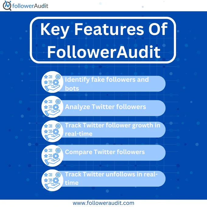 Key Features Of FollowerAudit