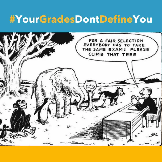 A cartoon of various animals like an elephant and a monkey standing in a line in front of a man at a desk who is asking them to climb the same tree for a fair selection. At the top, the text reads #YourGradesDontDefineYou". 