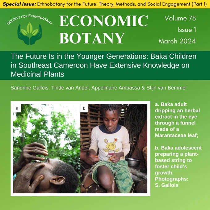 This image has a header that has the SEB logo, “Economic Botany” and “Volume 78, Issue 1, March 2024”.
The article title on this page reads, “The Future Is in the Younger Generations: Baka Children in Southeast Cameroon Have Extensive Knowledge on Medicinal Plants"
The authors for this article are, "Sandrine Gallois, Tinde van Andel, Appolinaire Ambassa & Stijn van Bemmel"
The photo on the page has this description, "a. Baka adult dripping an herbal extract in the eye through a funnel made of a Marantaceae leaf;b. Baka adolescent preparing a plant-based string to foster child’s growth. Photographs: S. Gallois"