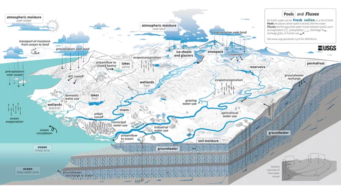 Updated water cycle showing different phases and functions of water on Earth.
