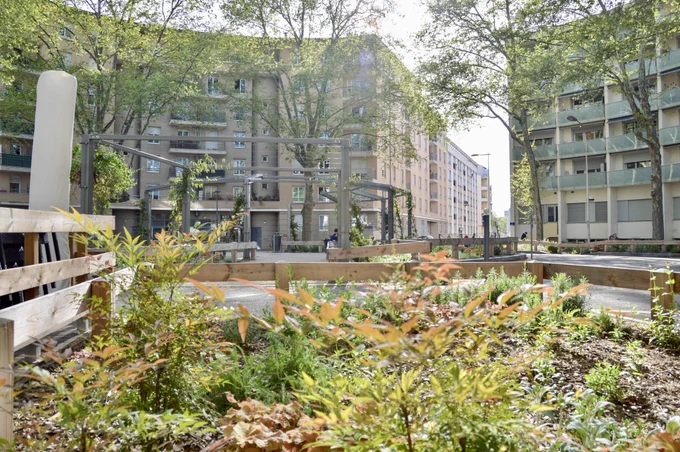 People walk, cycle, and sit in a “Super Island” in Lyon— an intersection transformed into a public space by introducing traffic calming, trees and plants, street furniture, and bike parking.