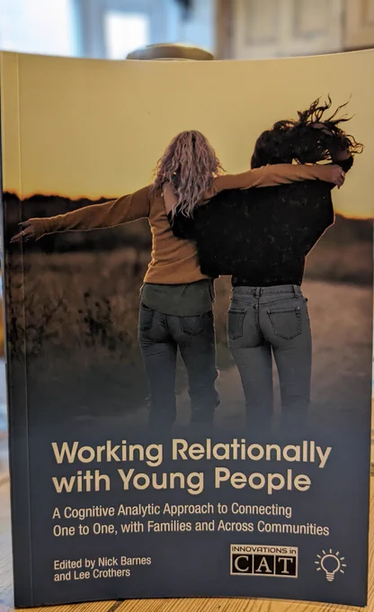 Book cover for "Working Relationally with Young People" book, showing two young people from behind with their arms around each other, walking in a carefree way along a path flanked by grass and vegetation, towards a yellowish-skied horizon