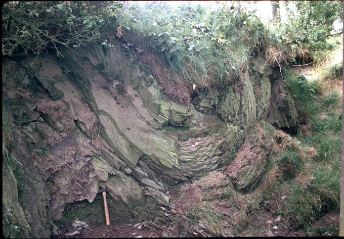 	Small scarp behind Maelogen-bach, 73 m. ENE of Nant-y- fedwen, 2 m. E. of Llanrwst. Slump-fold in bedded silty mudstone of Elwy Group (upper nilssoni Zone).