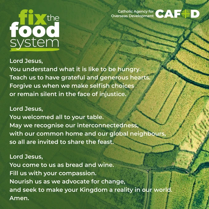 An aerial image of green farmland with text from a prayer.

It says: 

"Lord Jesus,
You understand what it is like to be hungry.
Teach us to have grateful and generous hearts.
Forgive us when we make selfish chocies
or remain silent in the face of injustice. 

Lord Jesus, 
You welcomed all to your table.
May we recognise our interconnectedness,
with our common home and our global neighbours,
so all are invited to share the feast.

Lord Jesus,
You come to us as bread and wine.
Fill is with your compassion.
Nourish us as we advocate for change, 
and seek to make your Kingdom a reality in our world.
Amen." 