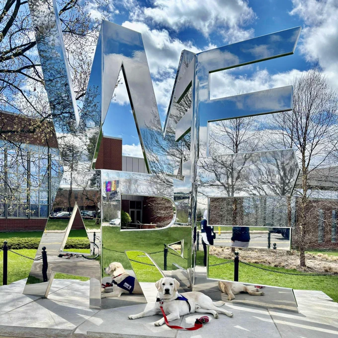 A yellow Labrador retriever lays in front of the we are statue at Penn State