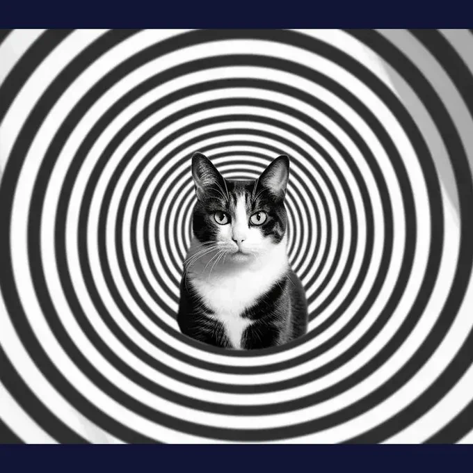 Psychedelics Animal Optical Illusions