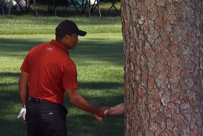 Tiger Woods Shaking hands with person behind a tree
